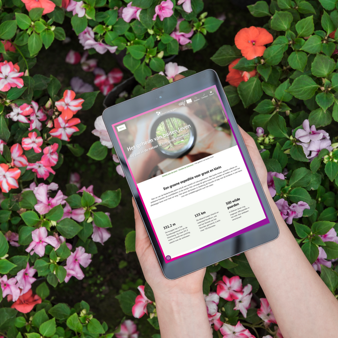 Zwei Hände halten ein Tablet vor blumigem Hintergrund. Der Screen zeigt die Website von Geheim over de grens