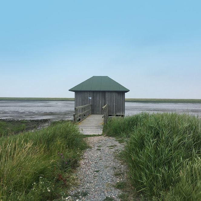 Ein kleiner Holzpavillon mit grünem Dach steht auf Stelzen am Rand eines Wattenmeeres, erreichbar über einen schmalen Steg